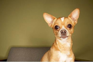 《荒野大镖客2》马斯顿演员承认自己可能造成了一些误解